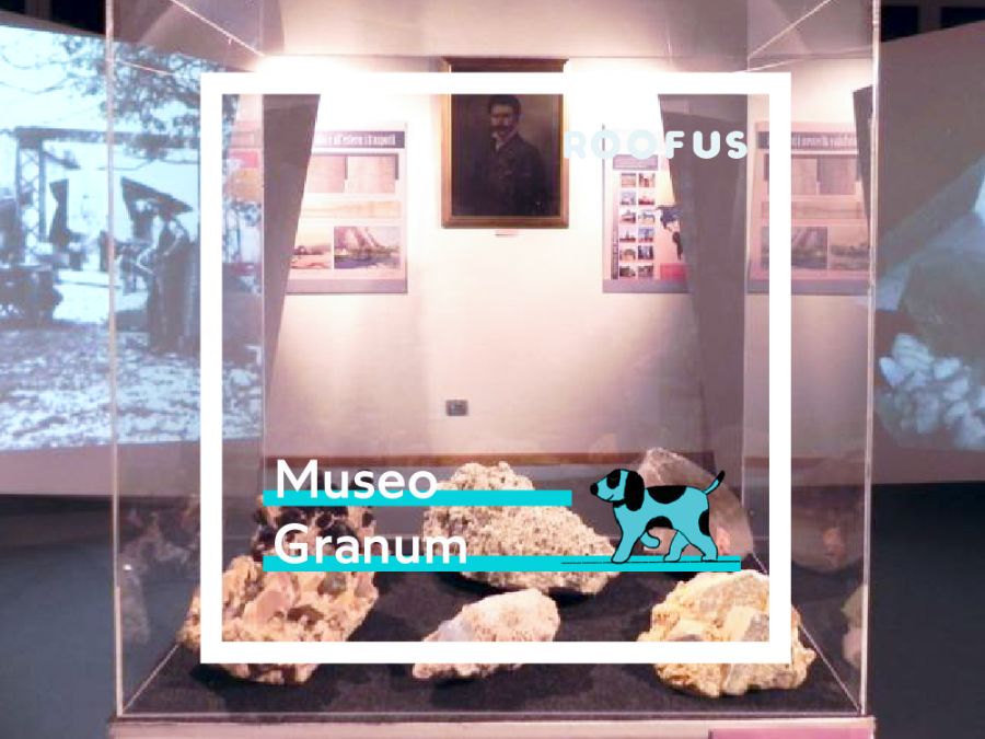 Museo granum