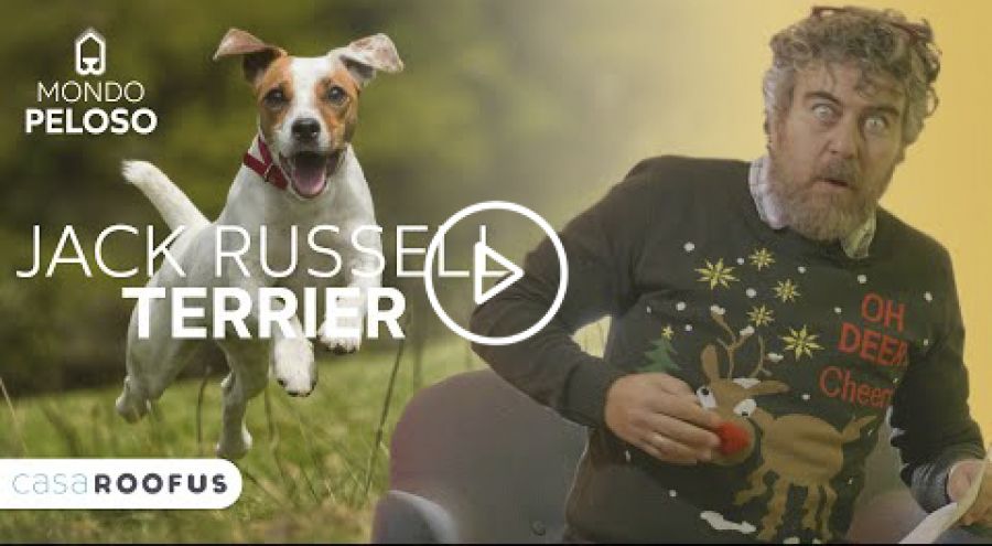 Copertina Video - Jack Russell