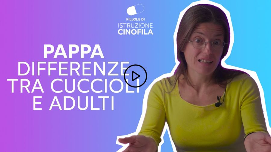 Pappa: differenza tra cuccioli e adulti