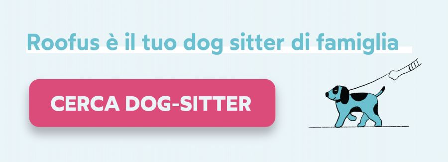 Cerca Dog SItter