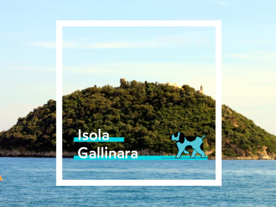 Isola Gallinara