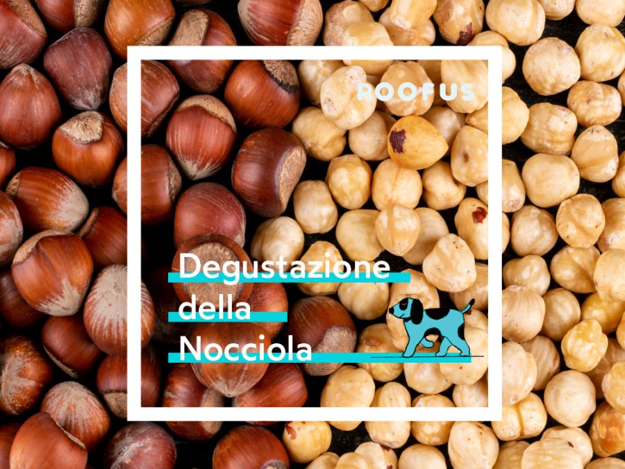 Degustazione della Nocciola