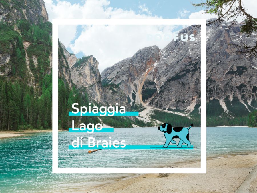 Spiaggia Lago di Braies 