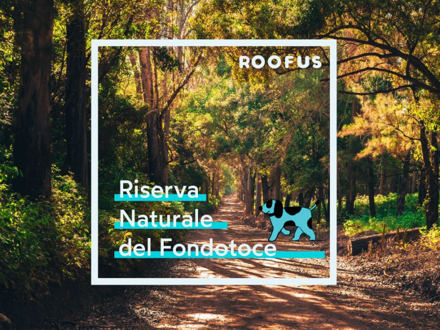 Riserva Naturale Fondotoce