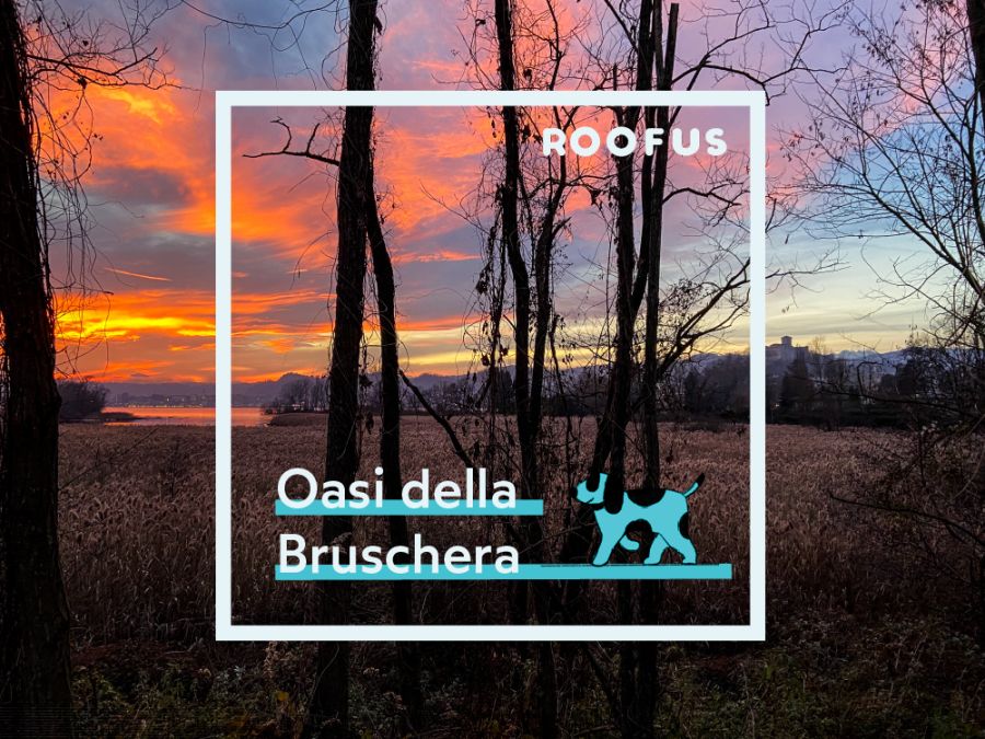 Oasi della Bruschera