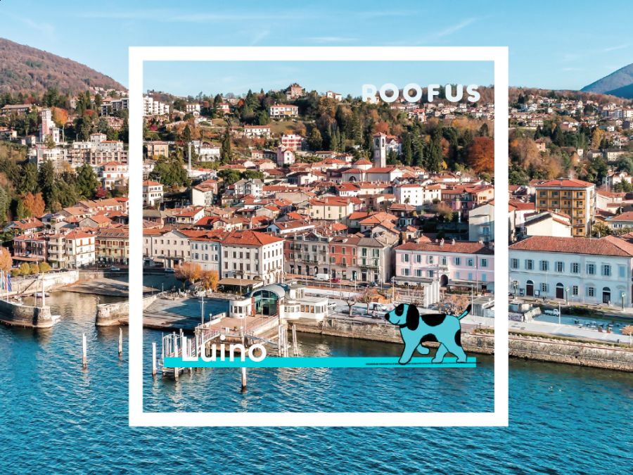 Luino