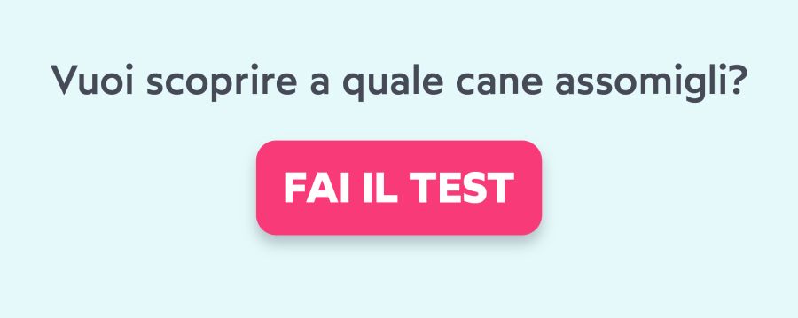 Fai il Quiz