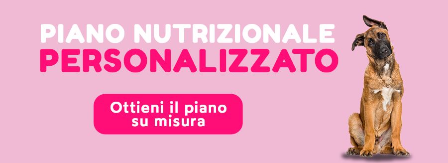 Scopri il cibo ideale per il tuo cane