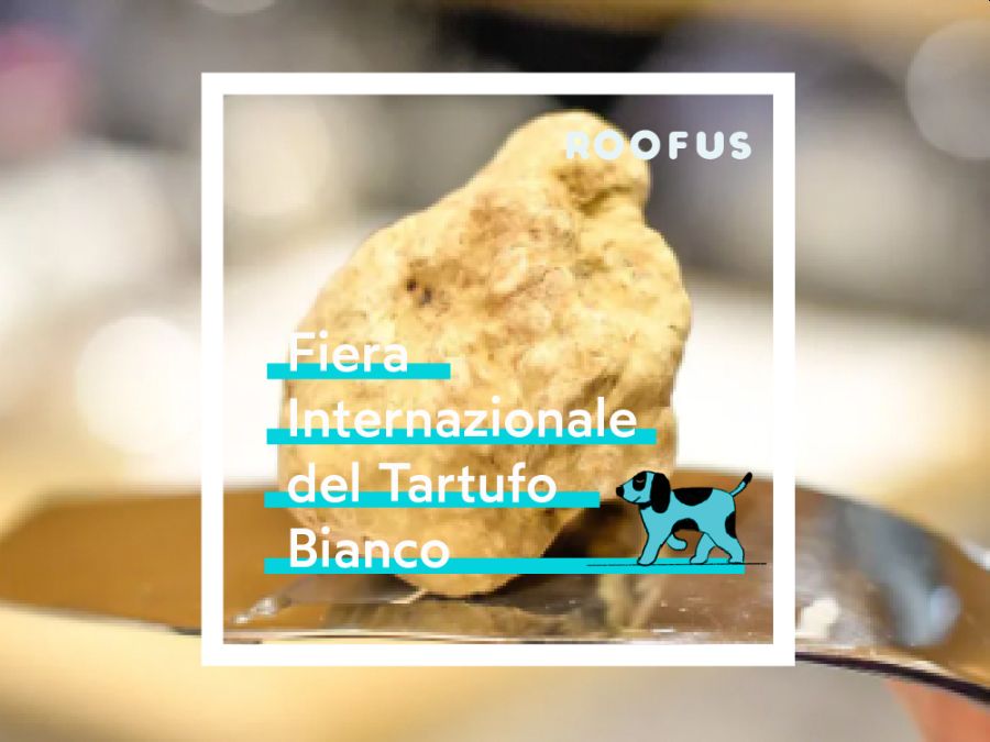 Fiera Internazionale del tartufo bianco