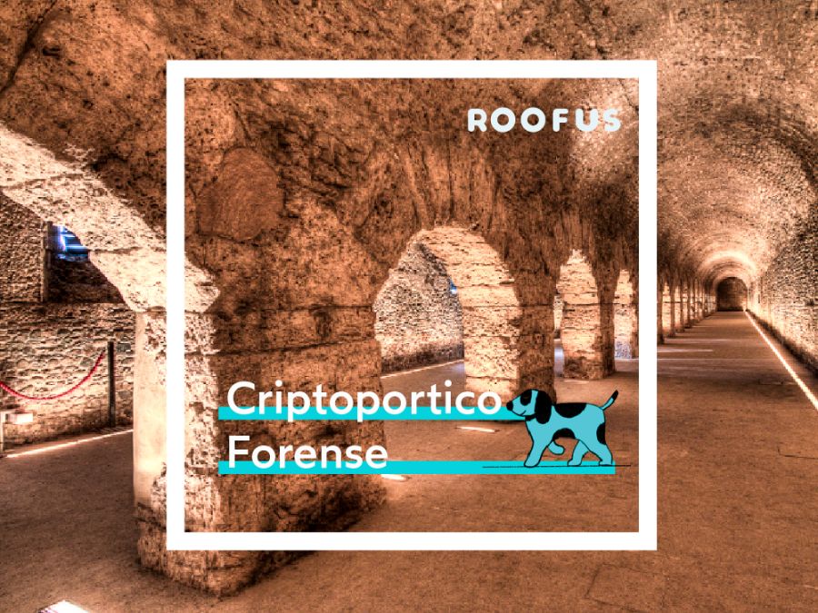 Criptoportico Forense