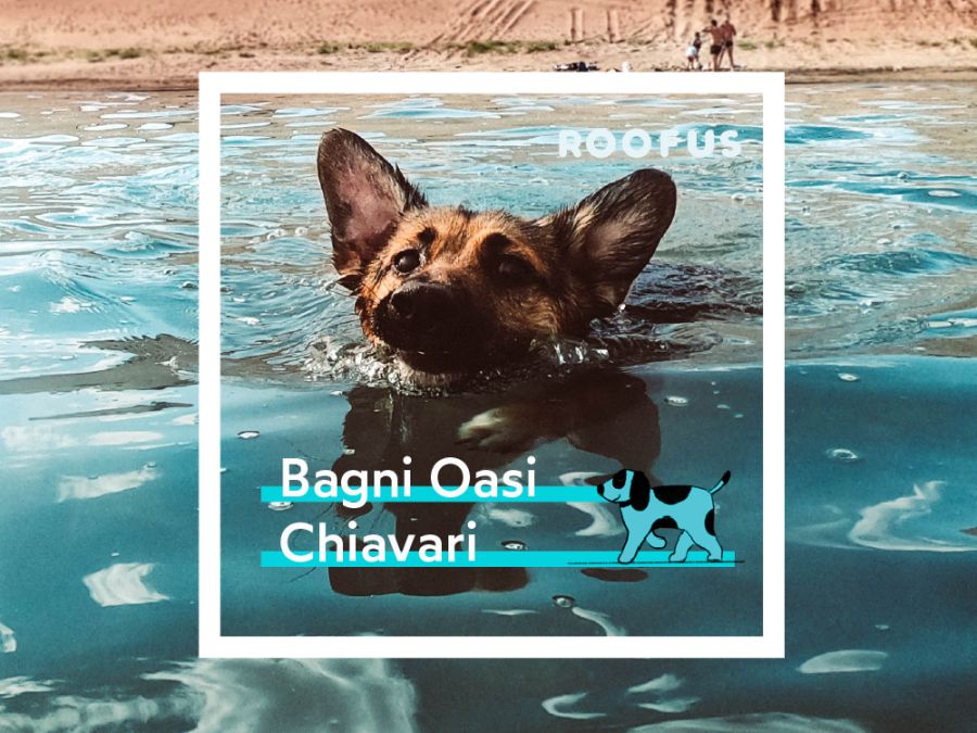 Bagni Oasi - Chiavari