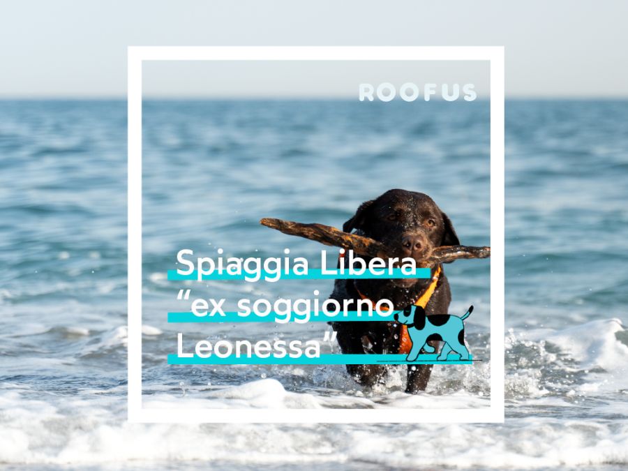 Spiaggia ex Soggiorno Leonessa