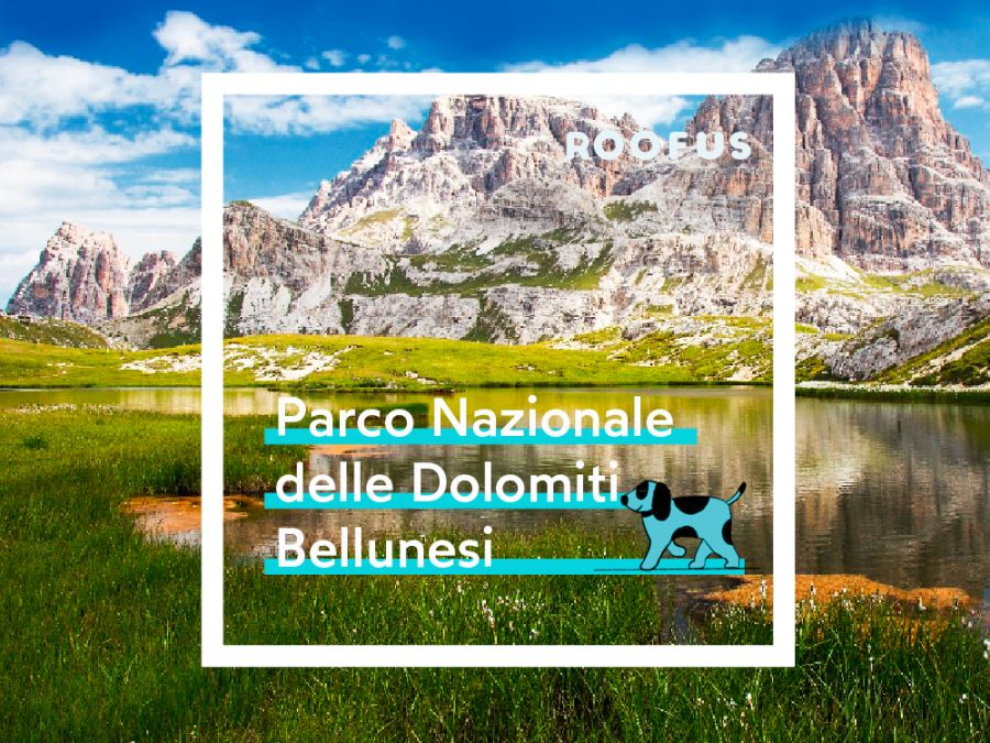 Parco delle Dolomiti Bellunesi