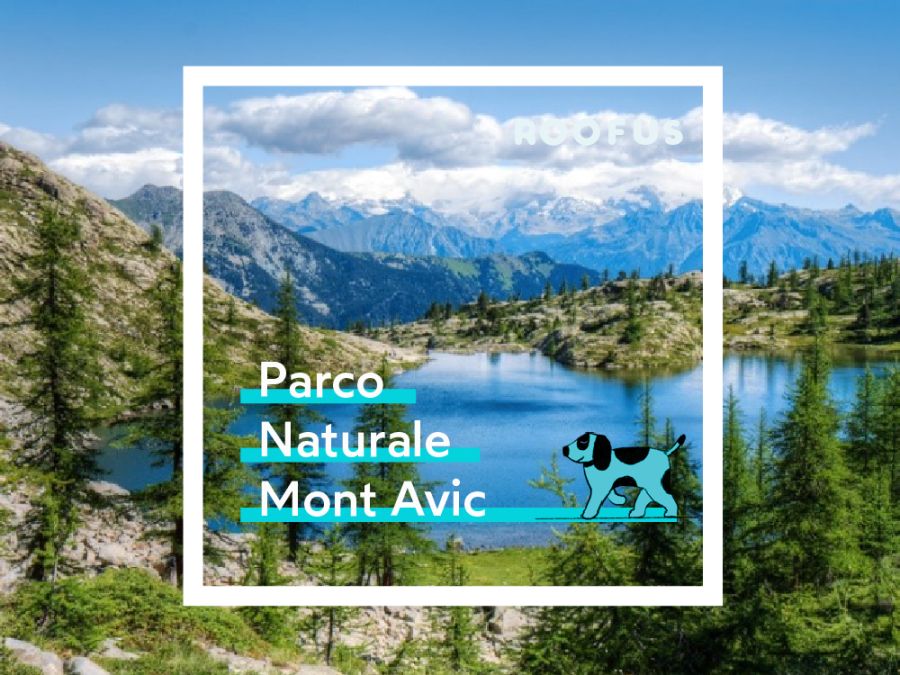 Parco Naturale Mont Avic