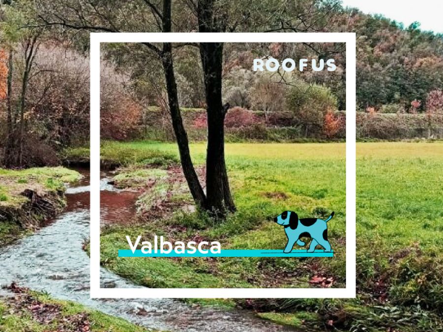 Valbasca