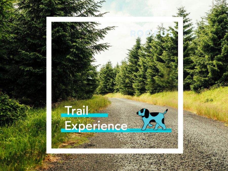 Trail Experience