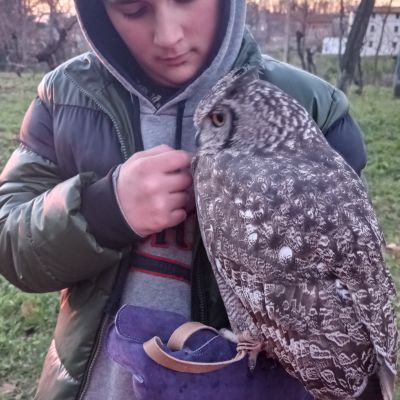 Foto di Romeo